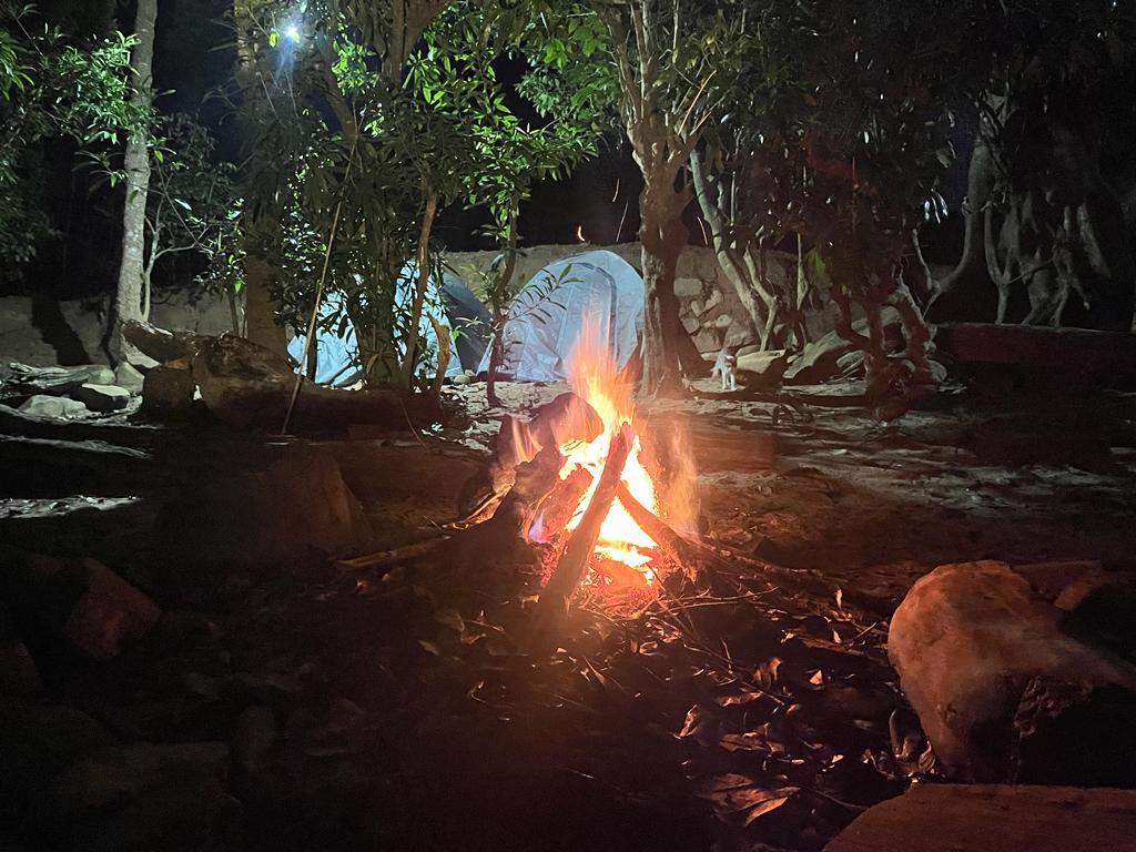 Campfire with friends
